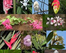 pachtwork Mayotte